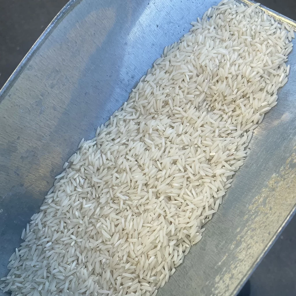 برنج شیرودی فریدونکنار (خوش پخت)